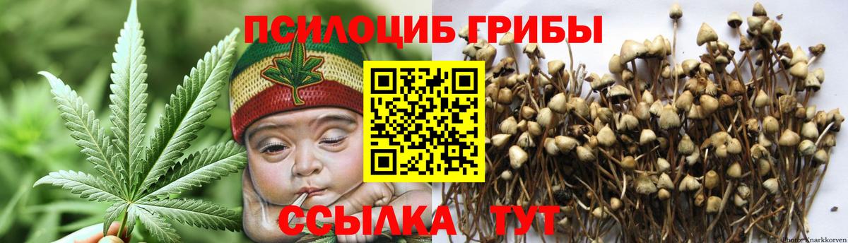 Галлюциногенные грибы Magic Shrooms  Псилоцибиновые грибы Psilocybine cubensis  Вход с VPN  Городец 